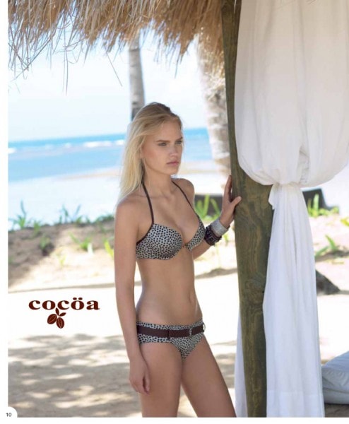 COCOA 2010-12